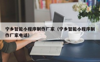 石狮宁乡智能小程序制作厂家（宁乡智能小程序制作厂家电话）